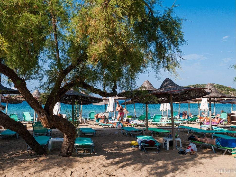 Talgo Beach Bar